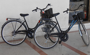 Noleggio biciclette Senigallia